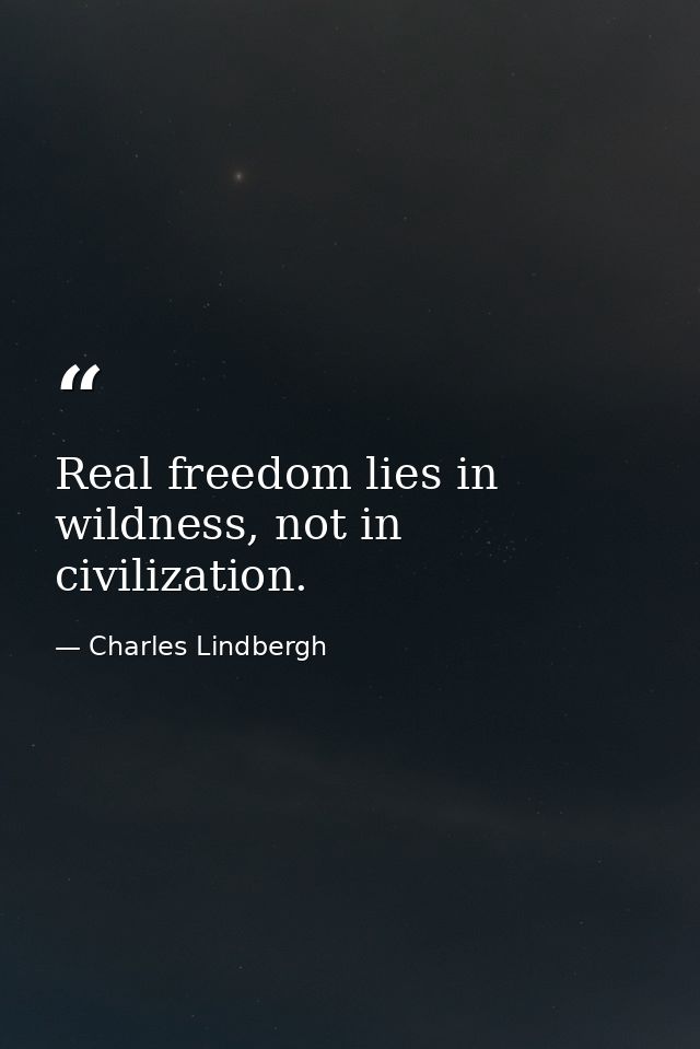 Real freedom lies in wildness, not in civilization. — Charles Lindbergh