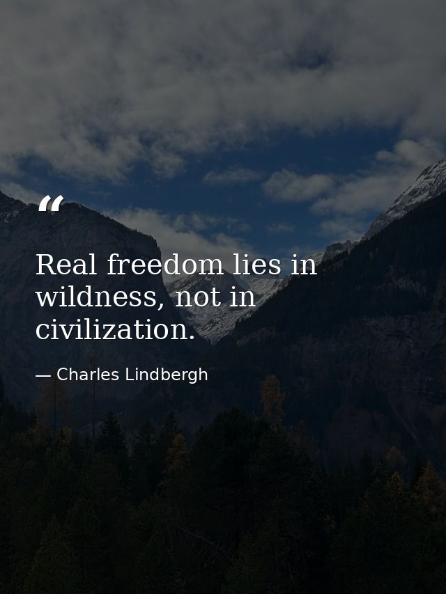 Real freedom lies in wildness, not in civilization. — Charles Lindbergh
