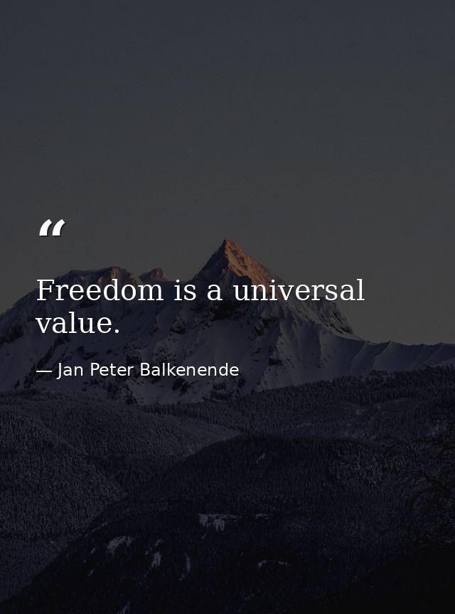 Freedom is a universal value. — Jan Peter Balkenende