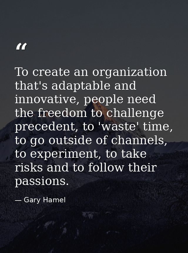 To create an organization that's adaptable and innovative, people need the freedom to challenge precedent, to 'waste' ti — Gary Hamel