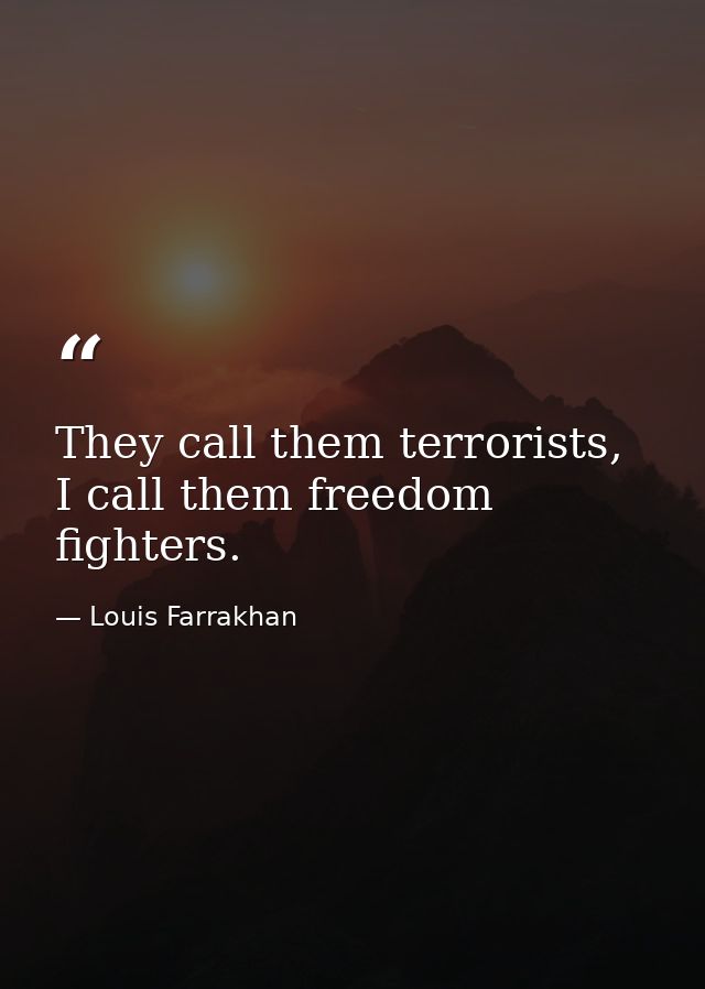 They call them terrorists, I call them freedom fighters. — Louis Farrakhan