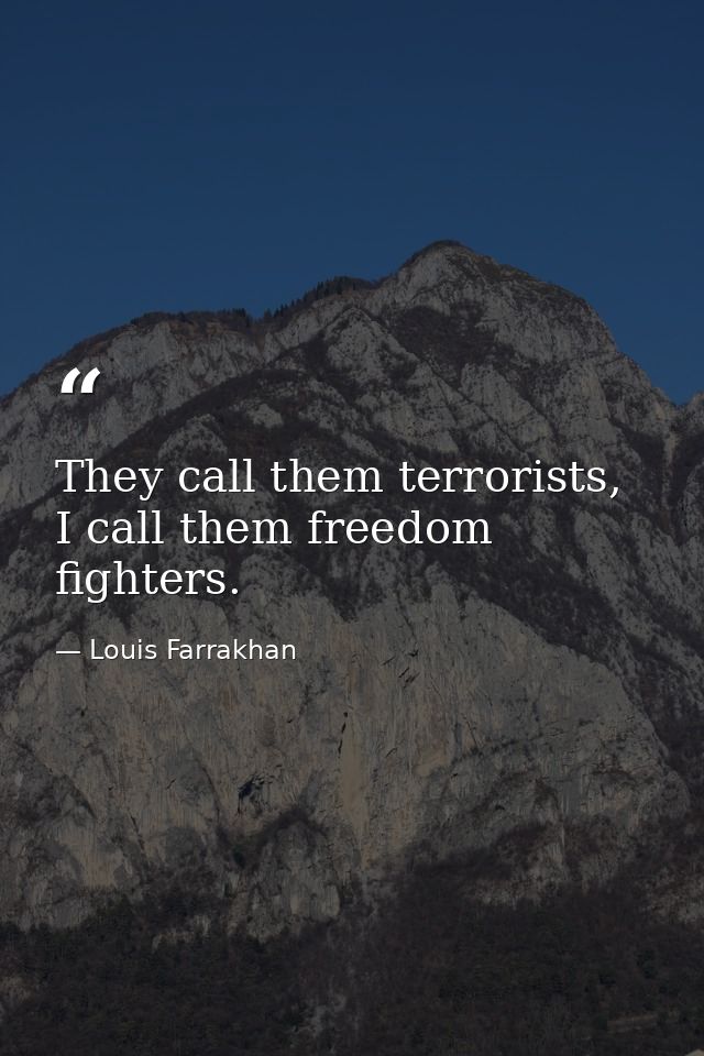 They call them terrorists, I call them freedom fighters. — Louis Farrakhan