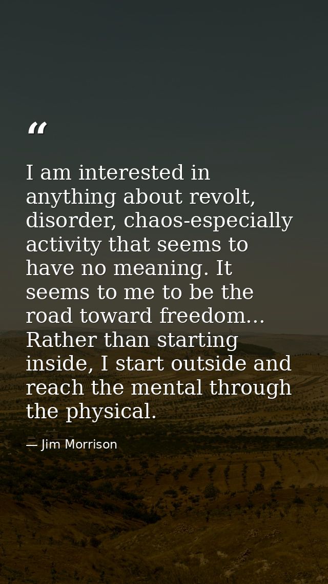 I am interested in anything about revolt, disorder, chaos-especially activity that seems to have no meaning. It seems to — Jim Morrison