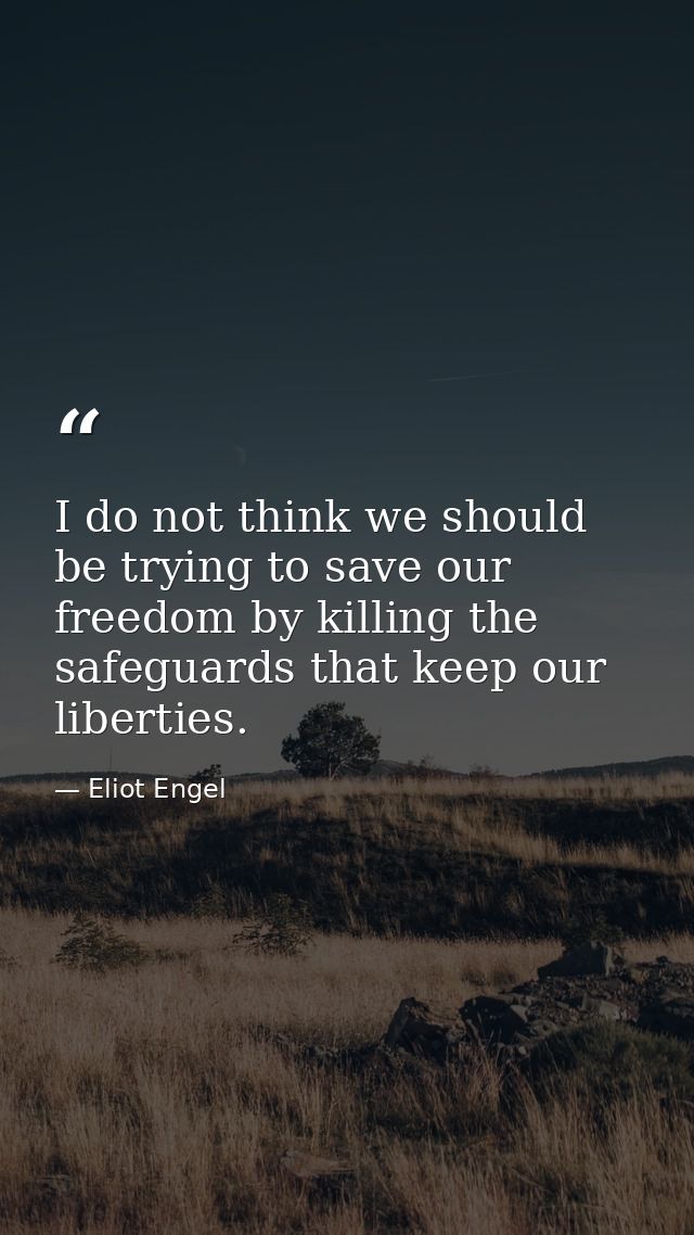 I do not think we should be trying to save our freedom by killing the safeguards that keep our liberties. — Eliot Engel