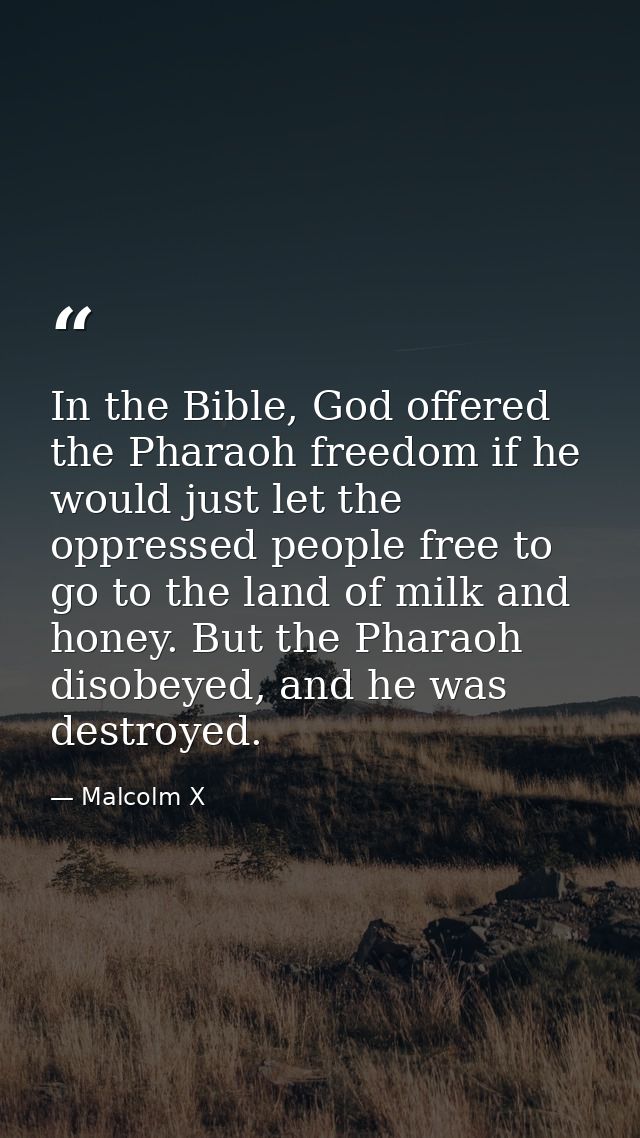In the Bible, God offered the Pharaoh freedom if he would just let the oppressed people free to go to the land of milk a — Malcolm X