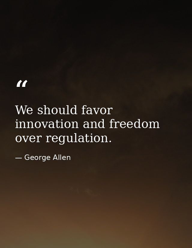 We should favor innovation and freedom over regulation. — George Allen