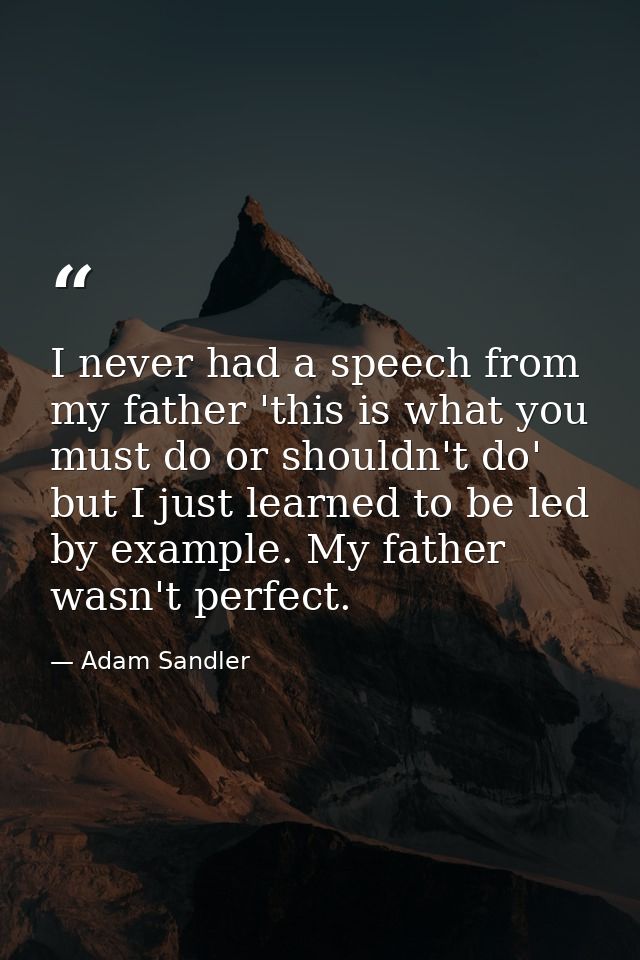 I never had a speech from my father 'this is what you must do or shouldn't do' but I just learned to be led by example.  — Adam Sandler