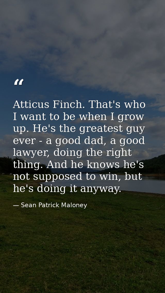 Atticus Finch. That's who I want to be when I grow up. He's the greatest guy ever - a good dad, a good lawyer, doing the — Sean Patrick Maloney