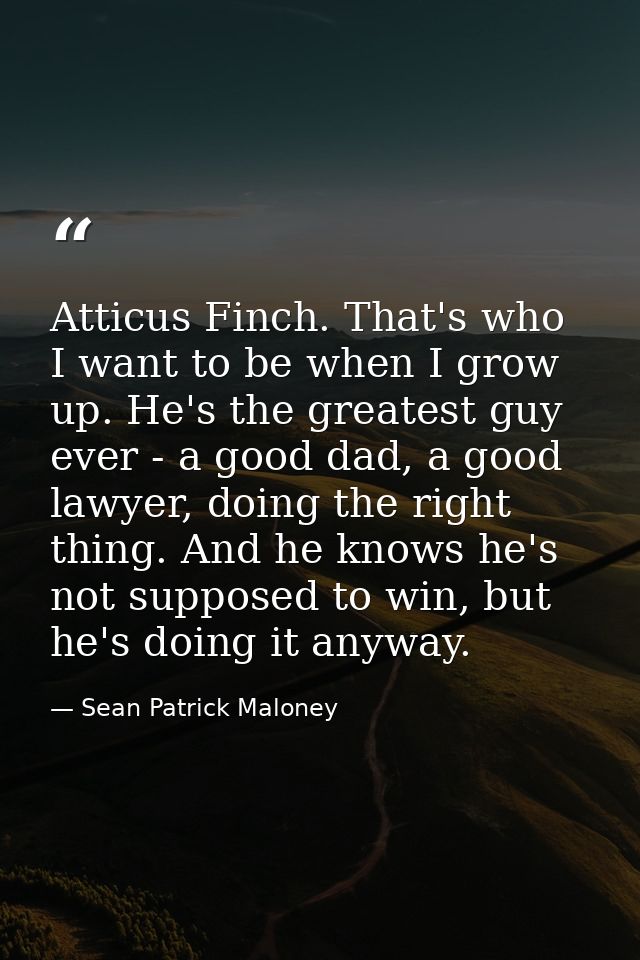 Atticus Finch. That's who I want to be when I grow up. He's the greatest guy ever - a good dad, a good lawyer, doing the — Sean Patrick Maloney