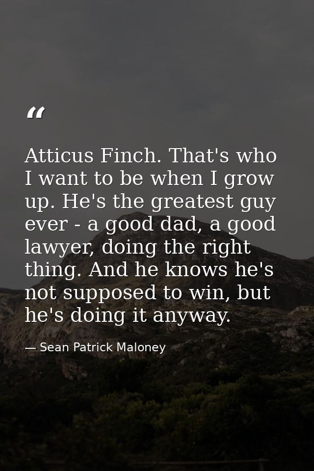 Atticus Finch. That's who I want to be when I grow up. He's the greatest guy ever - a good dad, a good lawyer, doing the — Sean Patrick Maloney