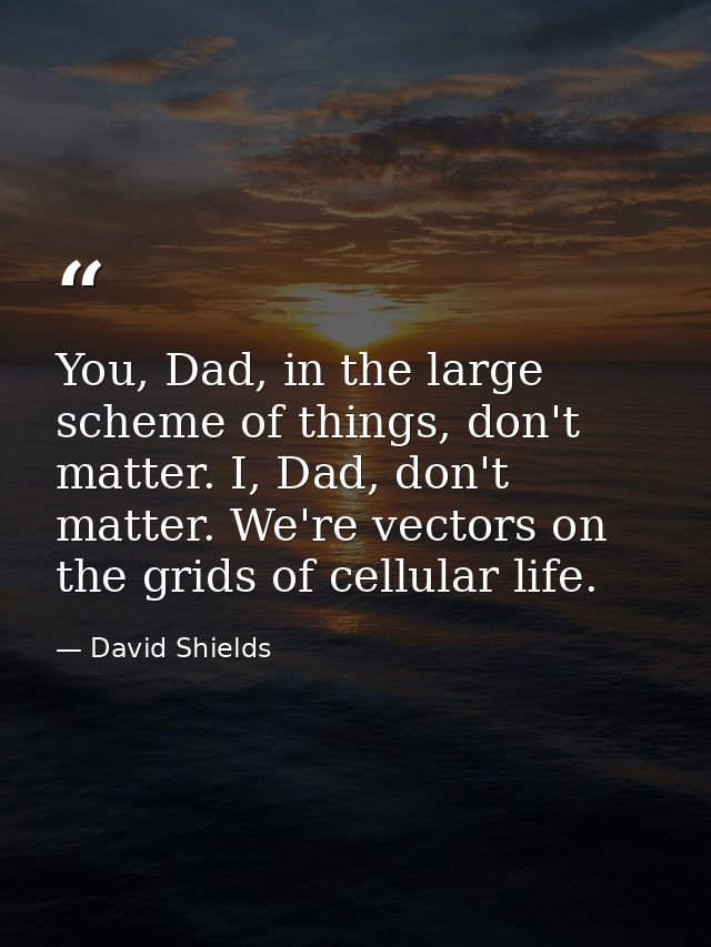 You, Dad, in the large scheme of things, don't matter. I, Dad, don't matter. We're vectors on the grids of cellular life — David Shields