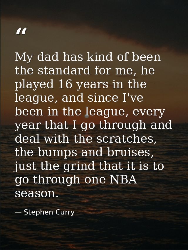 My dad has kind of been the standard for me, he played 16 years in the league, and since I've been in the league, every  — Stephen Curry
