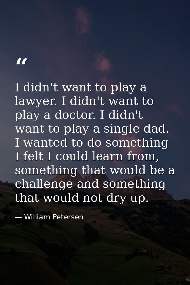 I didn't want to play a lawyer. I didn't want to play a doctor. I didn't want to play a single dad. I wanted to do somet — William Petersen