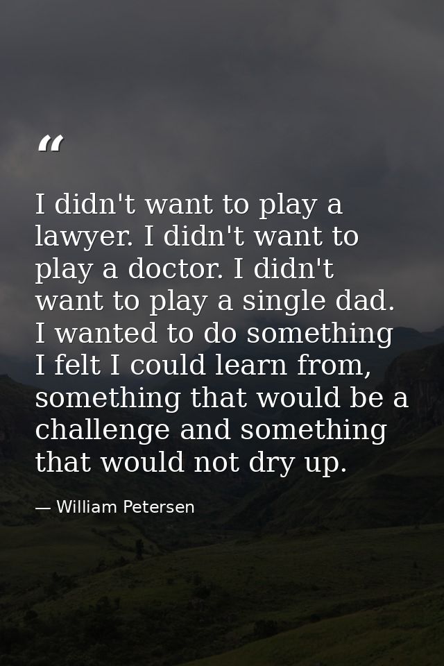 I didn't want to play a lawyer. I didn't want to play a doctor. I didn't want to play a single dad. I wanted to do somet — William Petersen