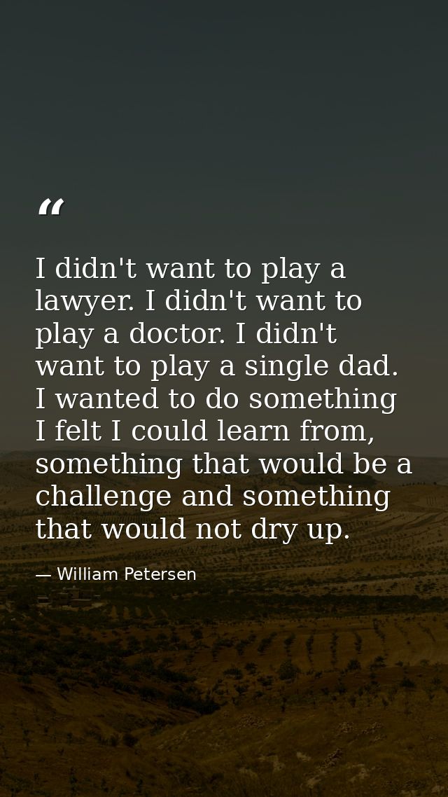 I didn't want to play a lawyer. I didn't want to play a doctor. I didn't want to play a single dad. I wanted to do somet — William Petersen