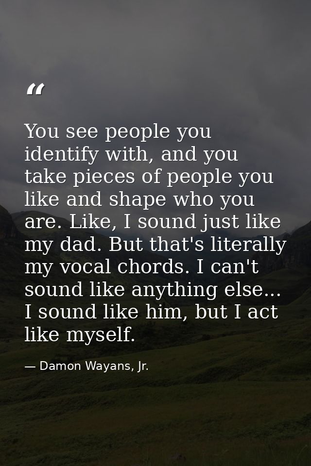 You see people you identify with, and you take pieces of people you like and shape who you are. Like, I sound just like  — Damon Wayans, Jr.
