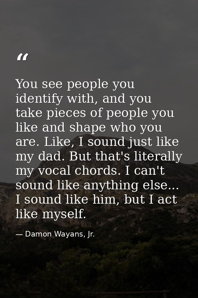 You see people you identify with, and you take pieces of people you like and shape who you are. Like, I sound just like  — Damon Wayans, Jr.