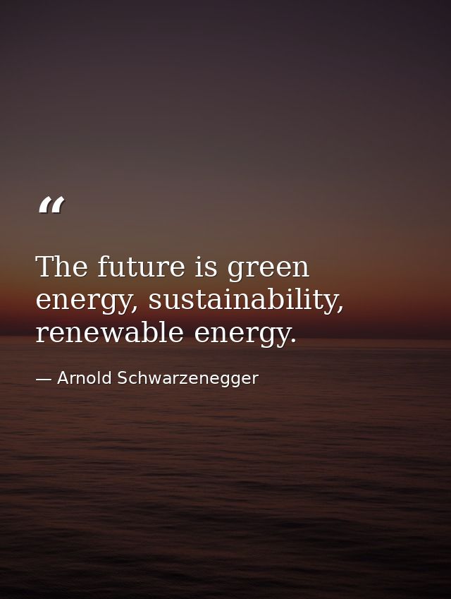 The future is green energy, sustainability, renewable energy. — Arnold Schwarzenegger