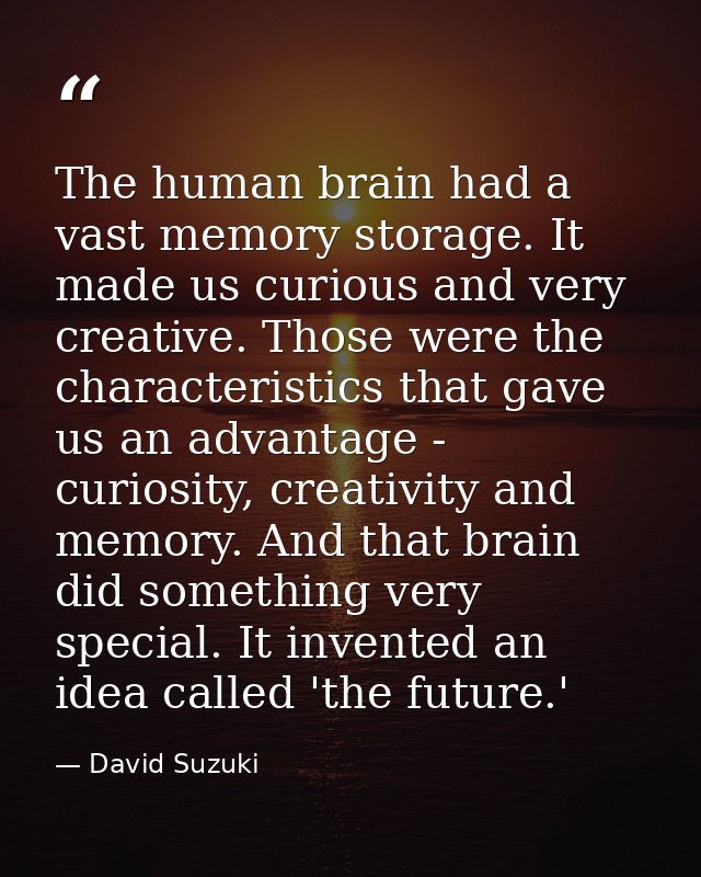 The human brain had a vast memory storage. It made us curious and very creative. Those were the characteristics that gav — David Suzuki
