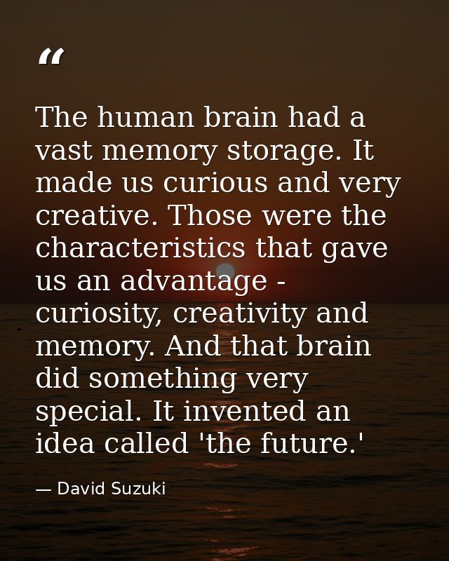 The human brain had a vast memory storage. It made us curious and very creative. Those were the characteristics that gav — David Suzuki