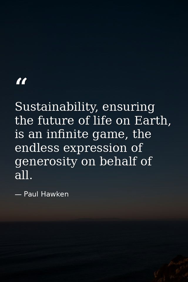 Sustainability, ensuring the future of life on Earth, is an infinite game, the endless expression of generosity on behal — Paul Hawken