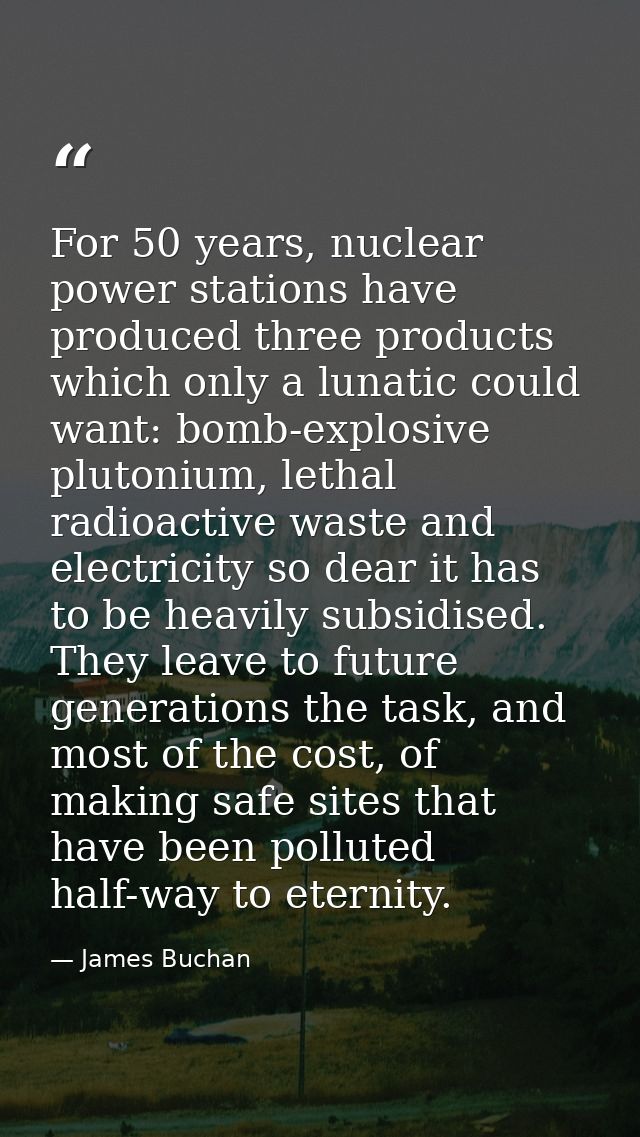 For 50 years, nuclear power stations have produced three products which only a lunatic could want: bomb-explosive pluton — James Buchan
