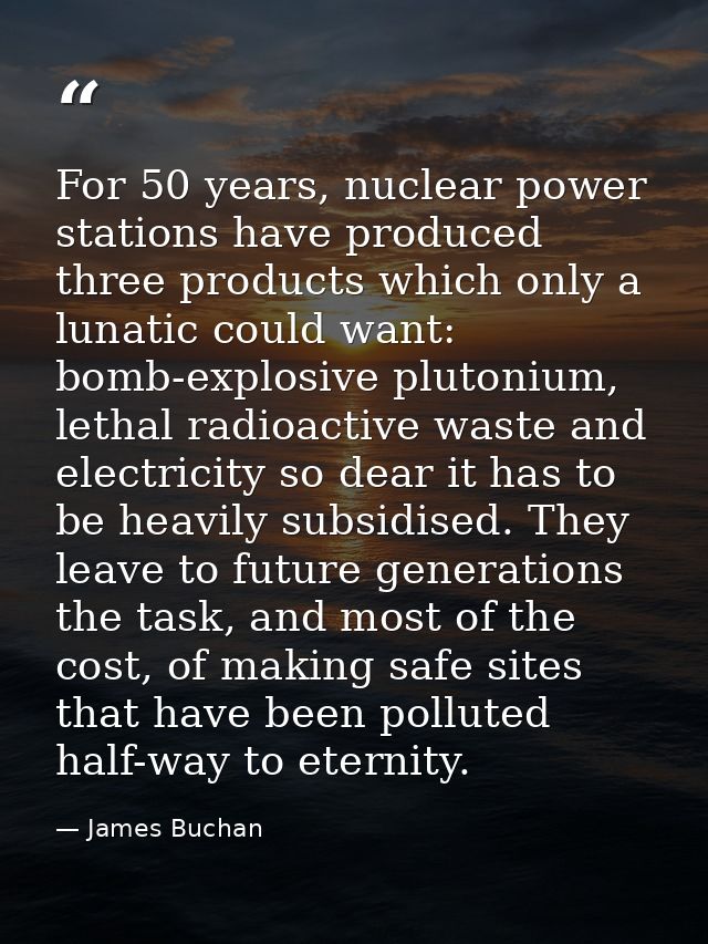 For 50 years, nuclear power stations have produced three products which only a lunatic could want: bomb-explosive pluton — James Buchan