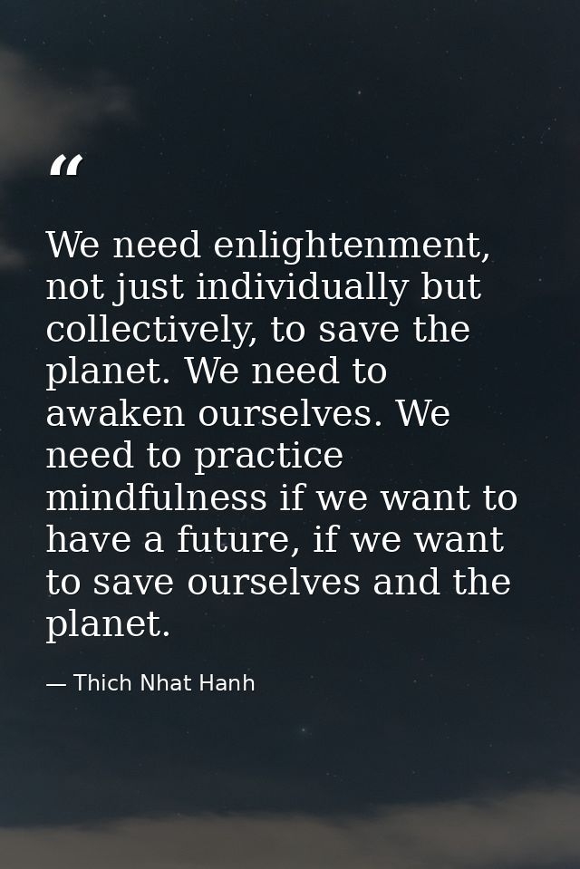 We need enlightenment, not just individually but collectively, to save the planet. We need to awaken ourselves. We need  — Thich Nhat Hanh