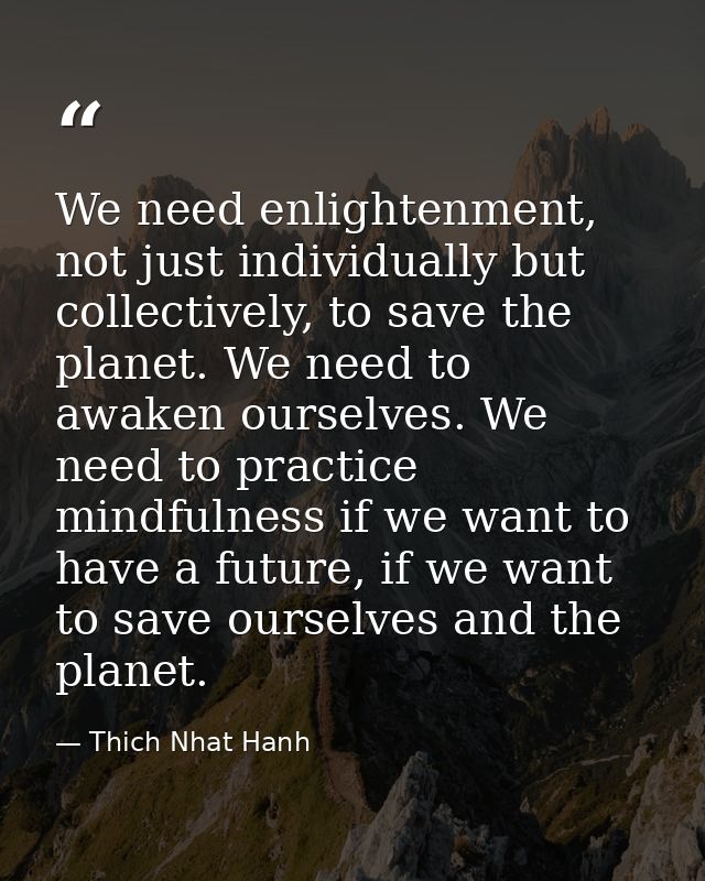 We need enlightenment, not just individually but collectively, to save the planet. We need to awaken ourselves. We need  — Thich Nhat Hanh