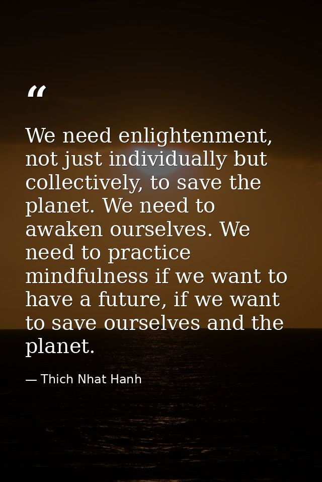 We need enlightenment, not just individually but collectively, to save the planet. We need to awaken ourselves. We need  — Thich Nhat Hanh