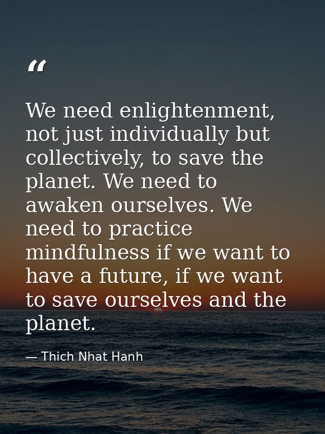 We need enlightenment, not just individually but collectively, to save the planet. We need to awaken ourselves. We need  — Thich Nhat Hanh