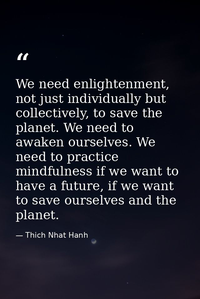 We need enlightenment, not just individually but collectively, to save the planet. We need to awaken ourselves. We need  — Thich Nhat Hanh