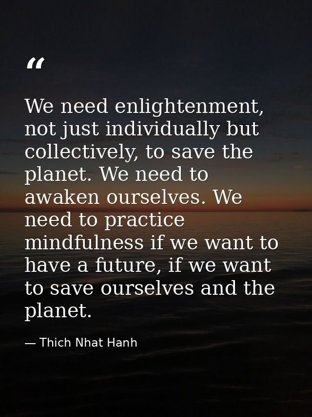 We need enlightenment, not just individually but collectively, to save the planet. We need to awaken ourselves. We need  — Thich Nhat Hanh