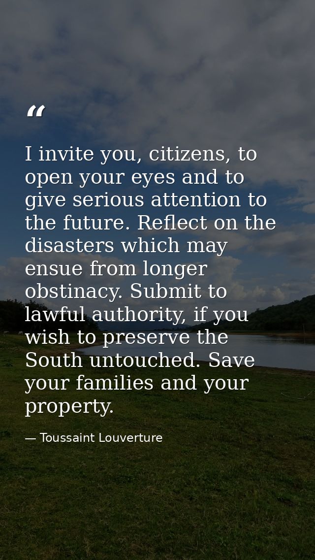 I invite you, citizens, to open your eyes and to give serious attention to the future. Reflect on the disasters which ma — Toussaint Louverture