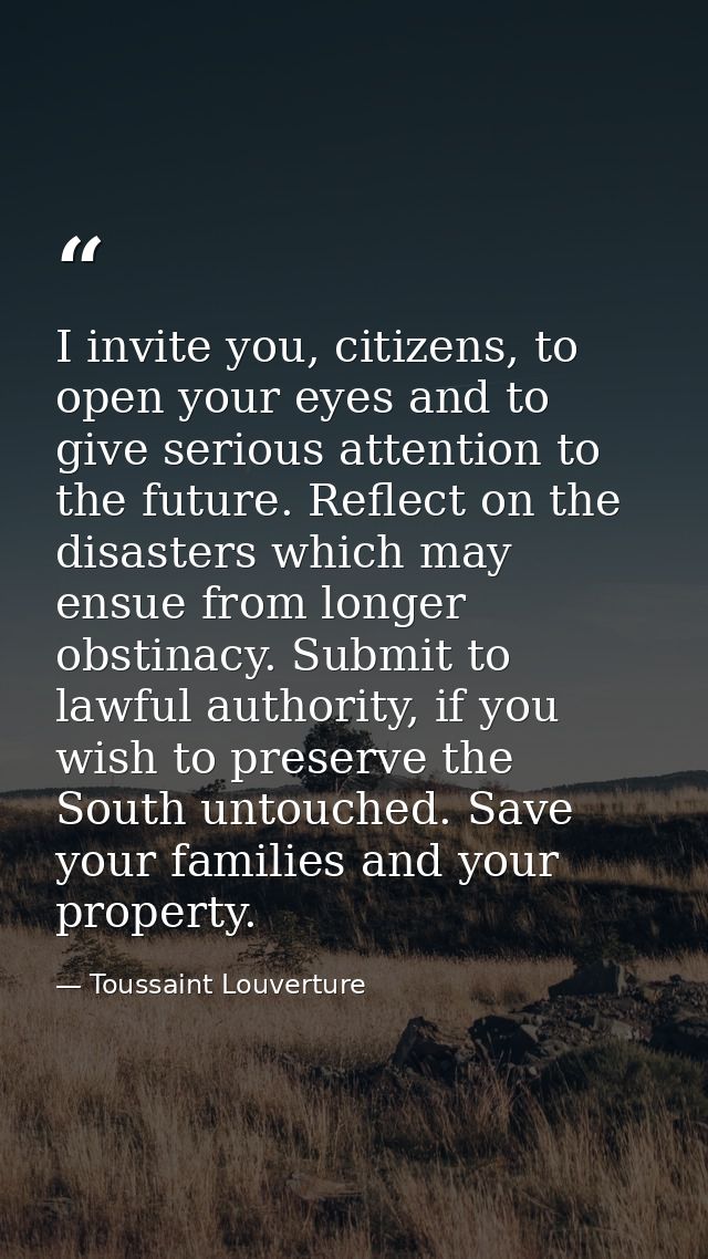 I invite you, citizens, to open your eyes and to give serious attention to the future. Reflect on the disasters which ma — Toussaint Louverture