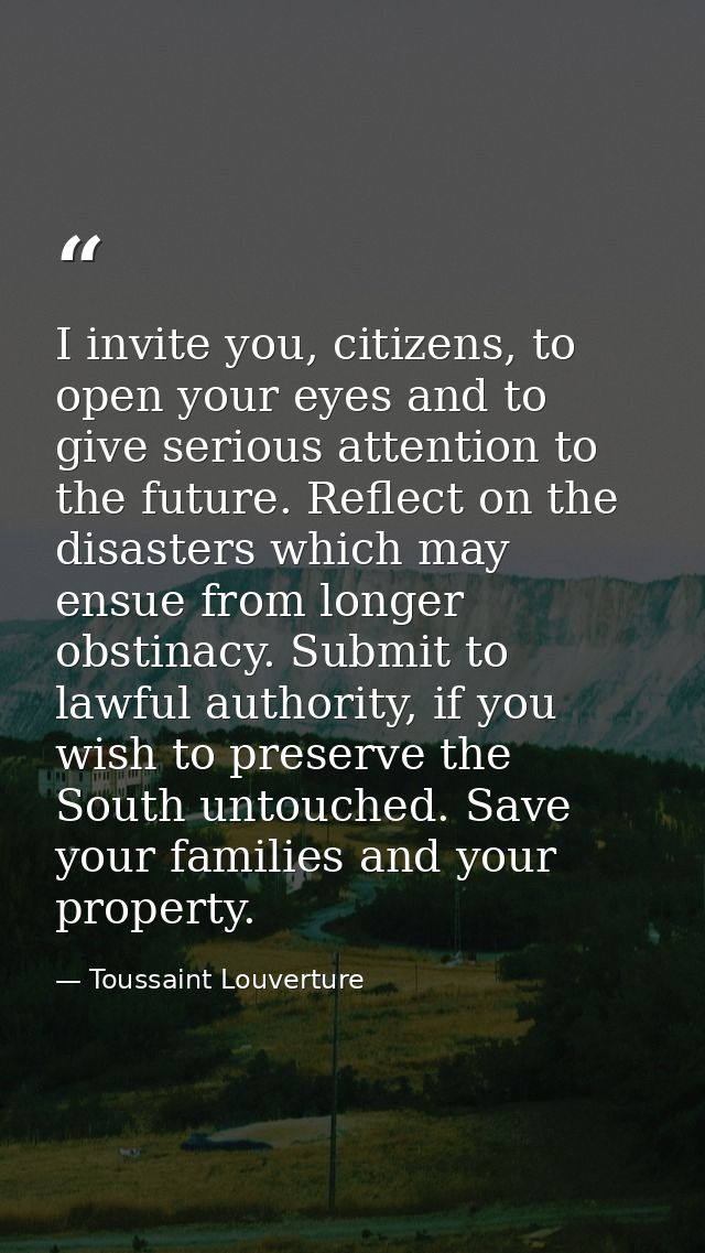 I invite you, citizens, to open your eyes and to give serious attention to the future. Reflect on the disasters which ma — Toussaint Louverture