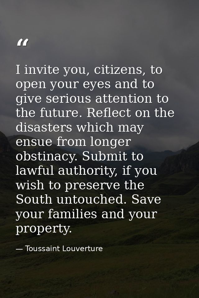 I invite you, citizens, to open your eyes and to give serious attention to the future. Reflect on the disasters which ma — Toussaint Louverture