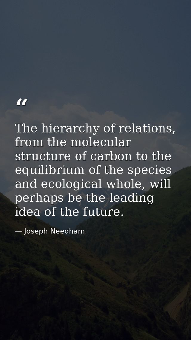 The hierarchy of relations, from the molecular structure of carbon to the equilibrium of the species and ecological whol — Joseph Needham