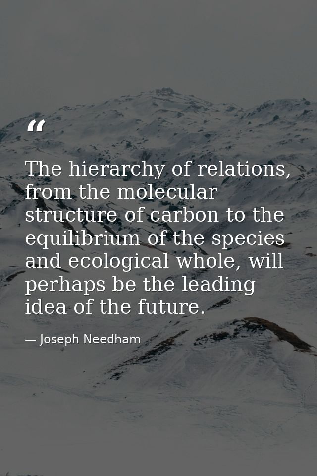 The hierarchy of relations, from the molecular structure of carbon to the equilibrium of the species and ecological whol — Joseph Needham