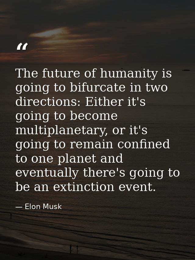 The future of humanity is going to bifurcate in two directions: Either it's going to become multiplanetary, or it's goin — Elon Musk