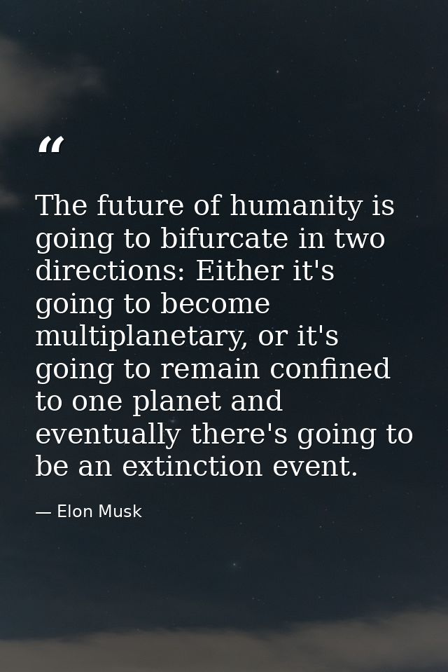 The future of humanity is going to bifurcate in two directions: Either it's going to become multiplanetary, or it's goin — Elon Musk