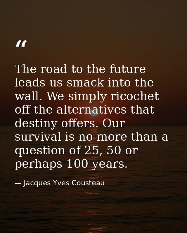 The road to the future leads us smack into the wall. We simply ricochet off the alternatives that destiny offers. Our su — Jacques Yves Cousteau