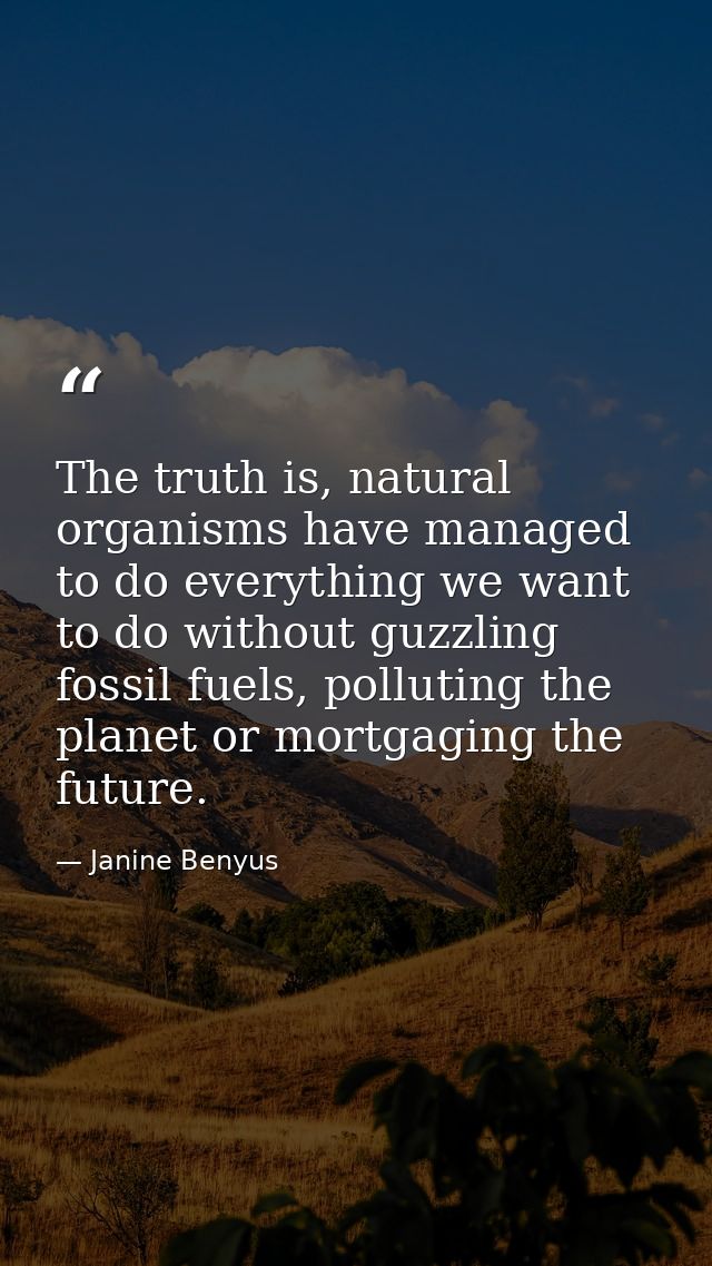 The truth is, natural organisms have managed to do everything we want to do without guzzling fossil fuels, polluting the — Janine Benyus