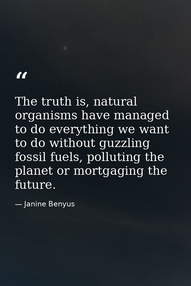 The truth is, natural organisms have managed to do everything we want to do without guzzling fossil fuels, polluting the — Janine Benyus
