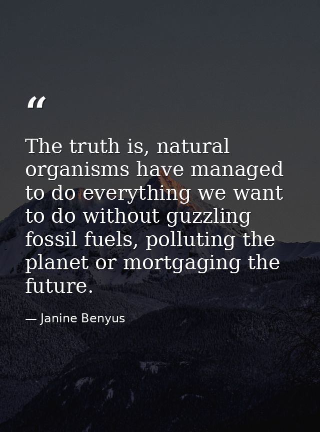 The truth is, natural organisms have managed to do everything we want to do without guzzling fossil fuels, polluting the — Janine Benyus
