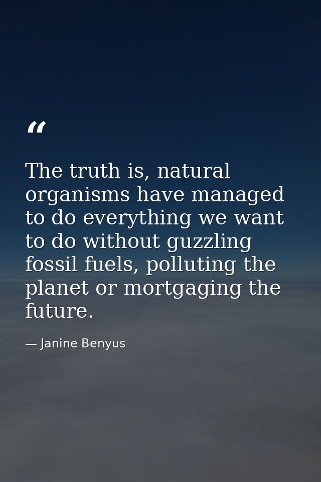 The truth is, natural organisms have managed to do everything we want to do without guzzling fossil fuels, polluting the — Janine Benyus