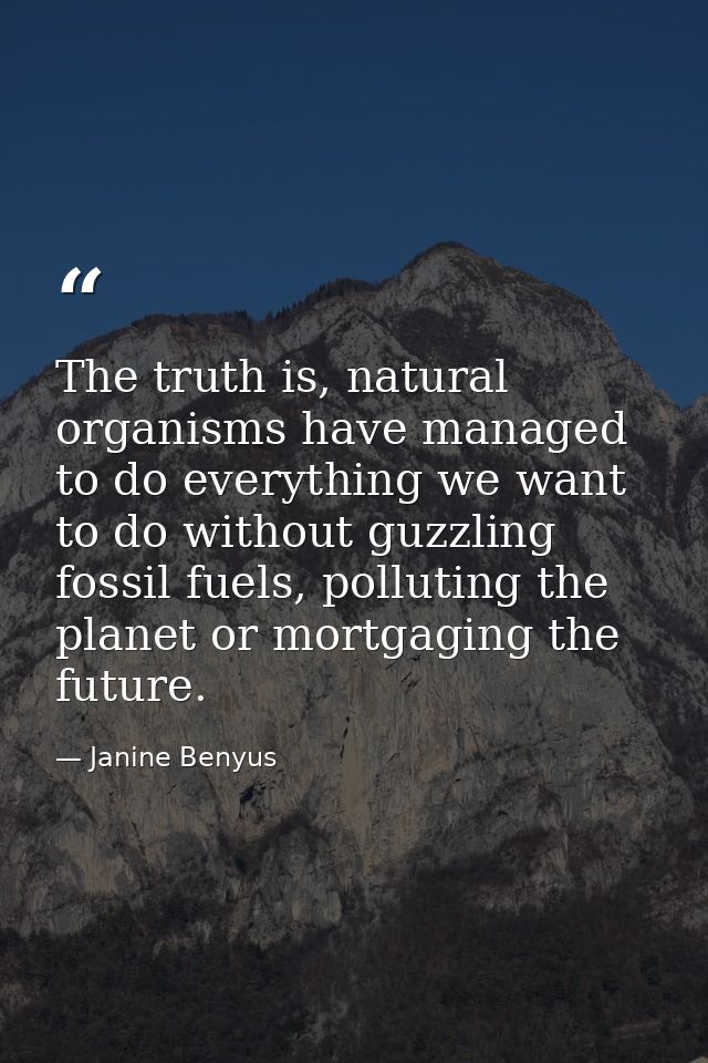 The truth is, natural organisms have managed to do everything we want to do without guzzling fossil fuels, polluting the — Janine Benyus